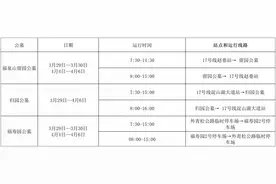 2025年青浦区清明祭扫交通指南（内附天气预报哦~）图片