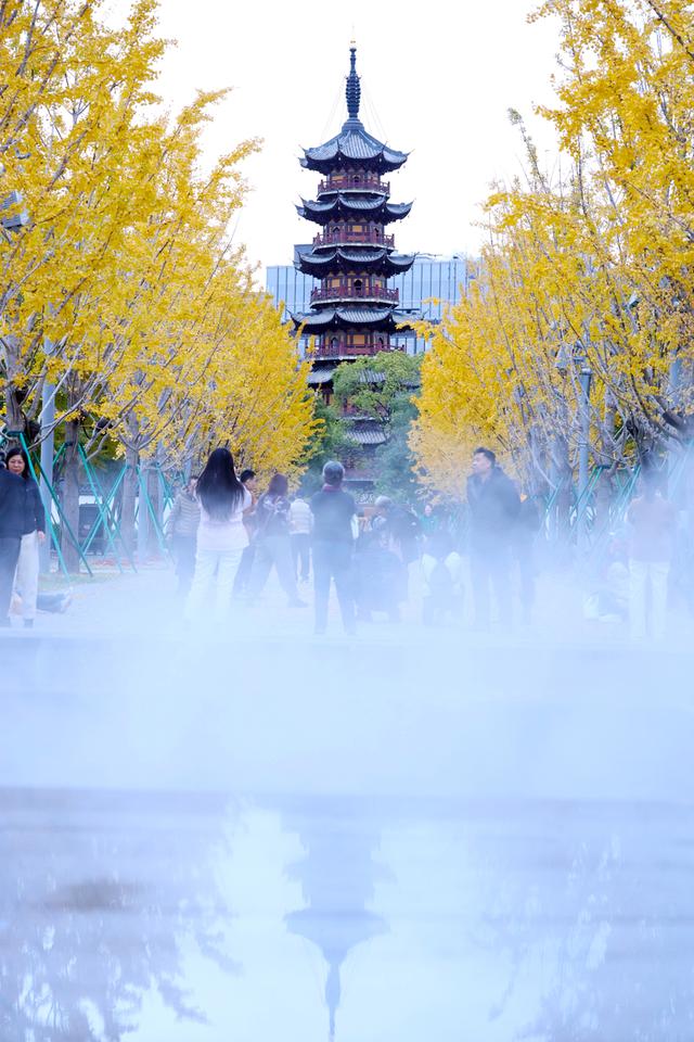 美景叠加禅意：龙华寺成为上海热门赏秋胜地