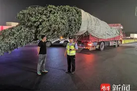 持续严查！货车超宽、超长、超高、违法运输“零容忍”图片