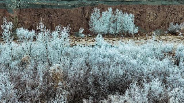 新疆托克逊县天山红河谷现雾凇景观 玉树琼枝映赤壁