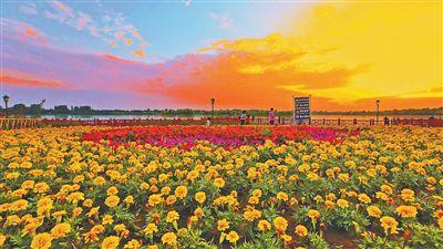 康养旅居，“慢游”撬动大市场（大数据观察）