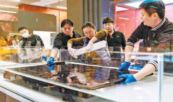 在国博遇见考烈王