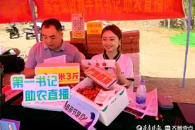 破解樱桃“销售难”，山东邮政推出“销售+寄递”全方位解决方案图片