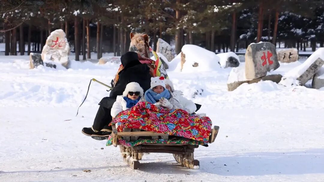 中国最冷小镇的暖意之旅——呼中区文旅全攻略