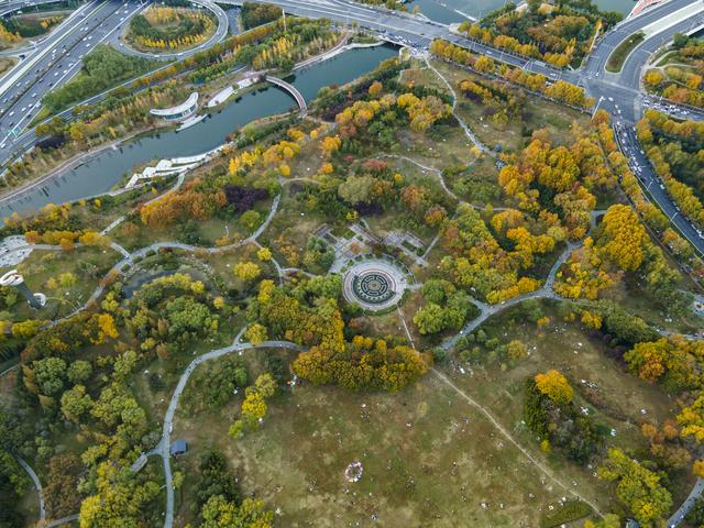 郑州“满城彩”的秋色，即将被“雨打风吹去”