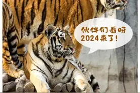 2024，一起加油吧！图片