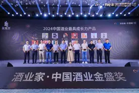 吉斯波尔昆全十年斩获“最具成长力产品”，“大奖收割机”如何炼成？图片