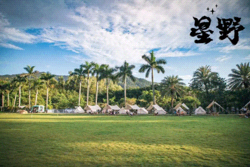 三大世界冠军助阵！直击2025梧桐山登高赛！