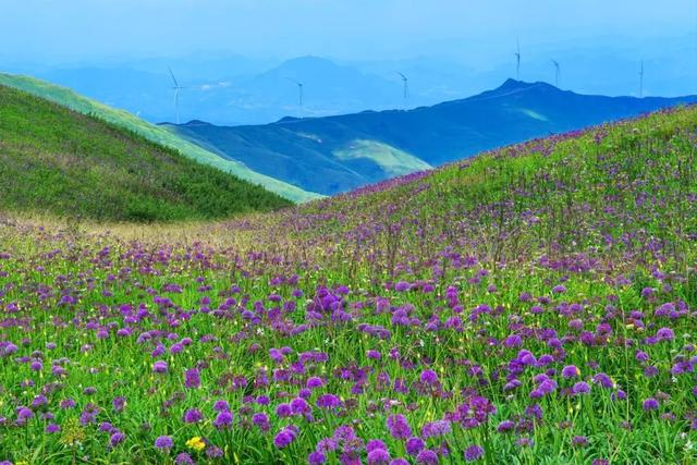 【90号公路】——反向旅行目的地：贵州-毕节