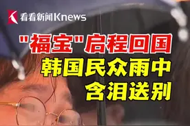 大熊猫“福宝”启程回国 韩国民众雨中含泪送别图片