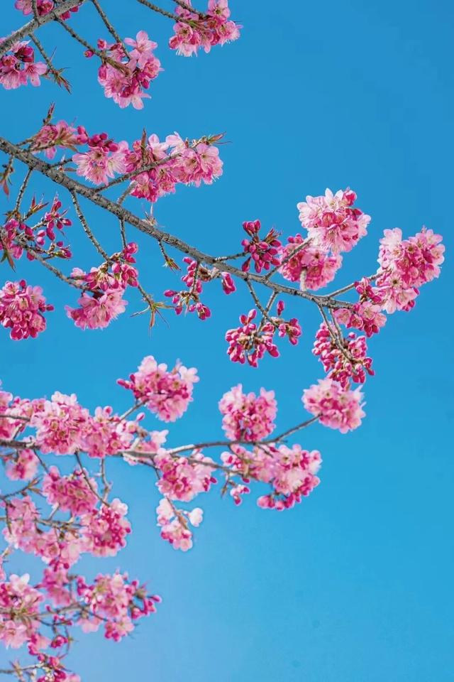 来大理，过美好生活！