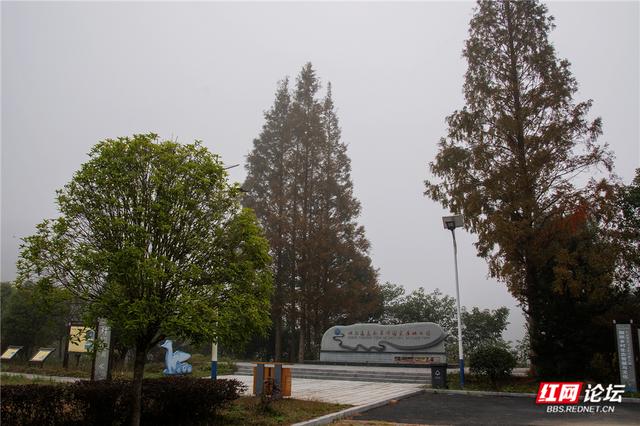 岁暖时刻丨冬日通道玉带河：被晨雾唤醒的山水画廊