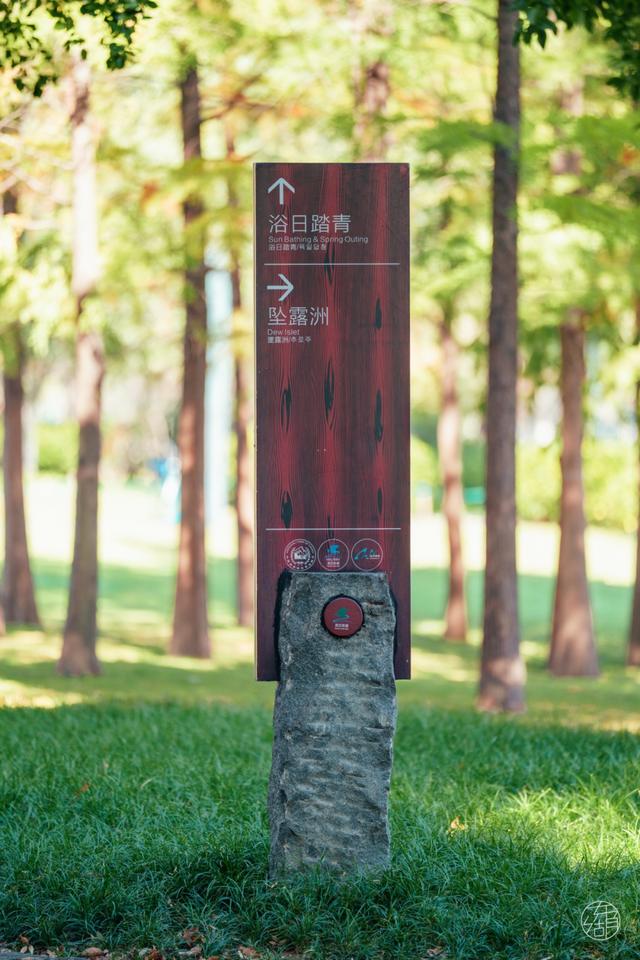 人少景美不绕路，东湖秋日彩蛋上新