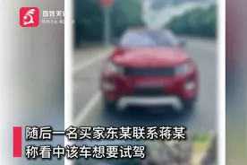 开上就跑！男子以试驾为由抢夺揽胜极光车，逃窜300公里后……图片