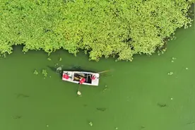 初心如炬，照亮青春征程——新时代青年党员的逐梦之路图片