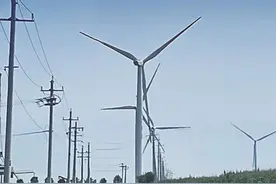 转1圈约发2度电！探秘沧州这些大风车图片