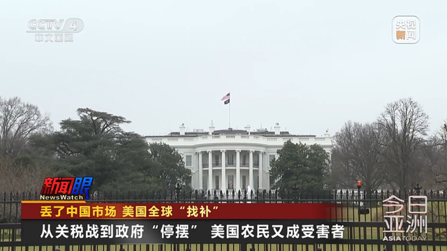 大豆价格暴跌,美国豆农出售设备,特朗普团队向印度推销!美媒称中国近半年没买过美国1粒大豆