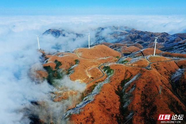 【每日一图@湖南】雾凇挂枝，流云绕风车！桂东万洋山冬景如画