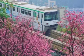 打卡“开往春天的列车” 请注意 这些区域禁止升放风筝、气球、无人机图片