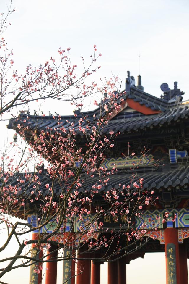 “马”上来南京！南京600余场文旅活动邀你过大年