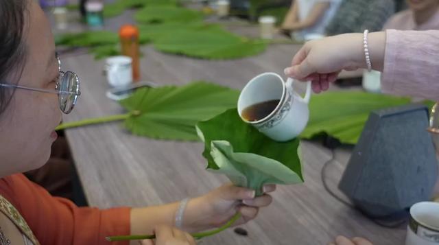 亲“荷”力满分！浙江“荷花经济”绽放暑期新亮点