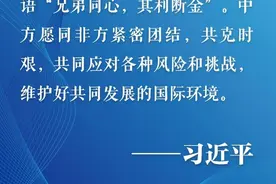 中非合作论坛丨题：“兄弟同心，其利断金”图片