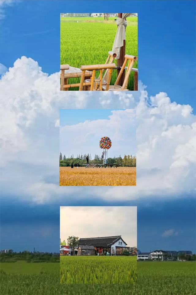 in青溪——让音乐与橘子味晚霞同频击中心脏！