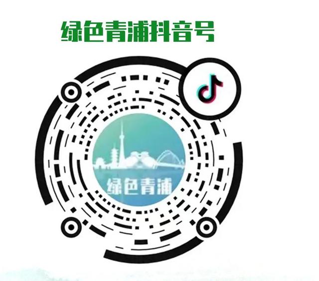 焕新升级！朱家角古镇景观提升最新进展抢先看→