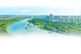 卫星看“南水” 润民十年间丨干旱缺水的朝歌再现淇水汤汤 白天鹅“稀客”变“常客”图片