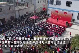 中越边境两条通道临时开放客运功能图片