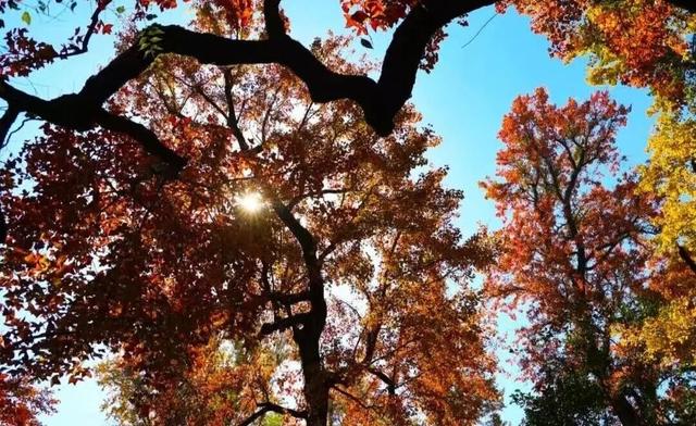 航旅融合 | 抽免费机票，到三明20℃的暖冬里，邂逅令人怦然心动的秘境