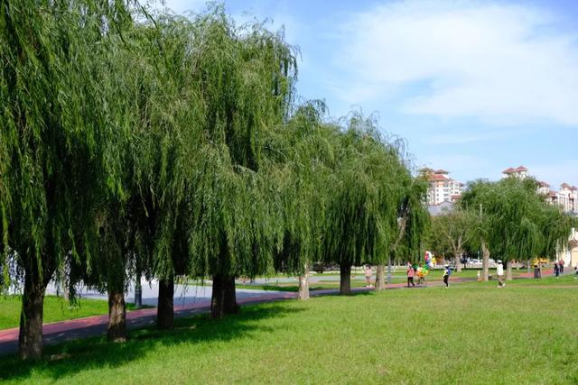 本地人的私藏宝藏！想要体验这座城市元气满满的烟火气，这个中秋国庆这样玩…