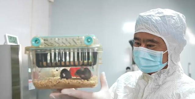 神舟二十一号载人飞船成功发射 空间应用系统上行六项科学实验