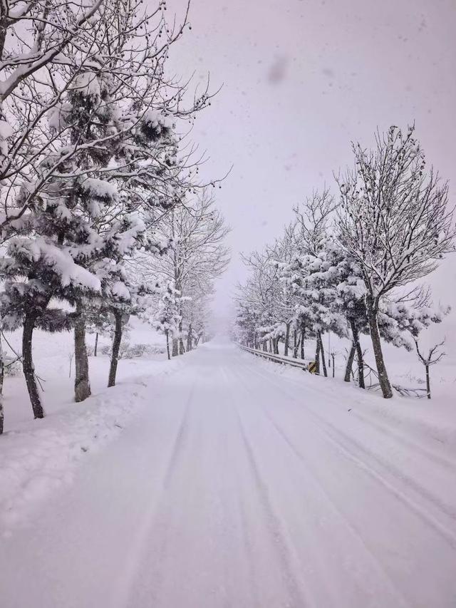 冬游威海 情满山海｜雪后，走入童话世界般的威海