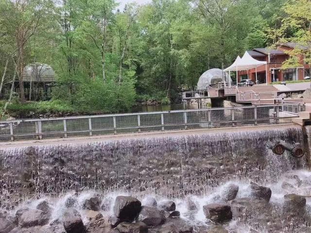 第四届网红打卡地 | 山河画卷——和龙千年红豆杉景区