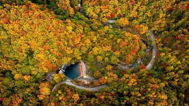 现在就出发！沿着洛阳周边自驾你将能看到...