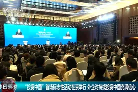 “攥指成拳”着力打造“投资中国”品牌 外企对持续投资中国充满信心图片