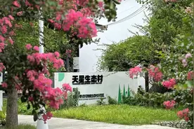 城乡融合 成都试验丨温江区：创新“乡建合伙”模式  推动人才赋能乡村图片