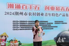 杨晓婷：回乡伴茶香，好茶“秀”出来丨潮州青年创业故事①图片