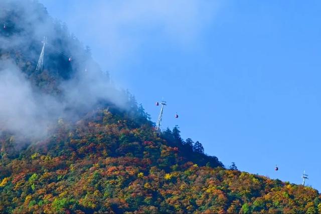 今日实拍‼️瓦屋山秋日彩林美疯啦~