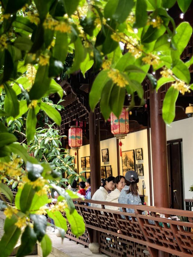 晚潮｜苏堤夜月与钱祠香雨