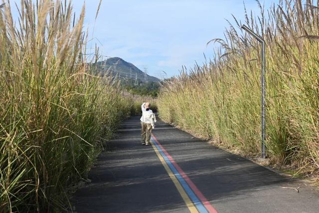 首个秋假，莲都这里有点“火”！