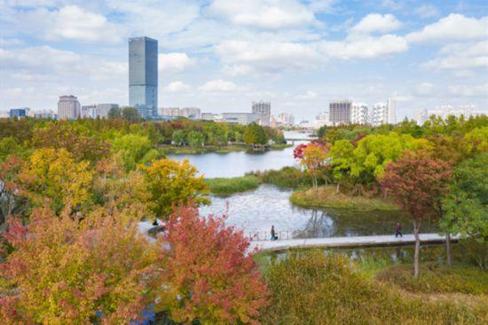 都市天际线下的葡萄藤 是上海马陆镇的混搭美学