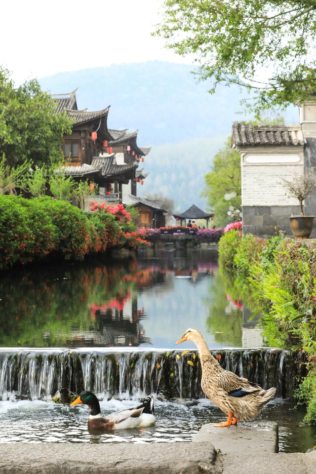 新华社出图·年度记忆｜永续的乡愁#(2)