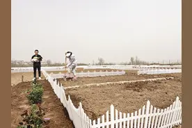 租地种菜享受田园乐趣 “共享菜园”在西安悄然兴起图片