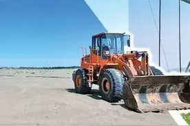莎车 以“浦东所能”服务“莎车所需” 产业援疆开启新篇章图片