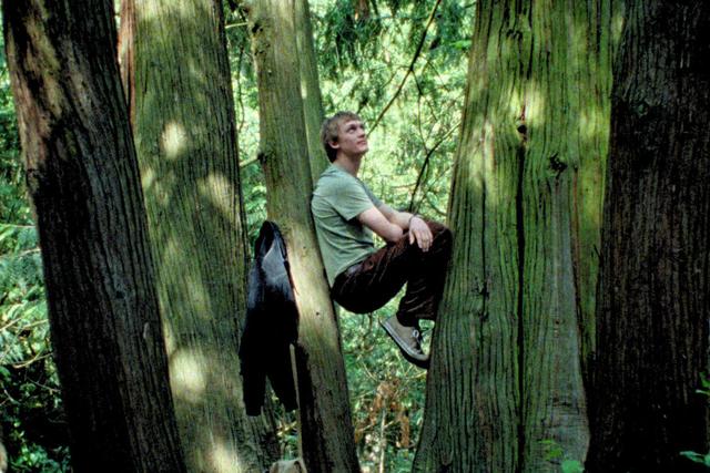 《寂静的朋友》 树的语言