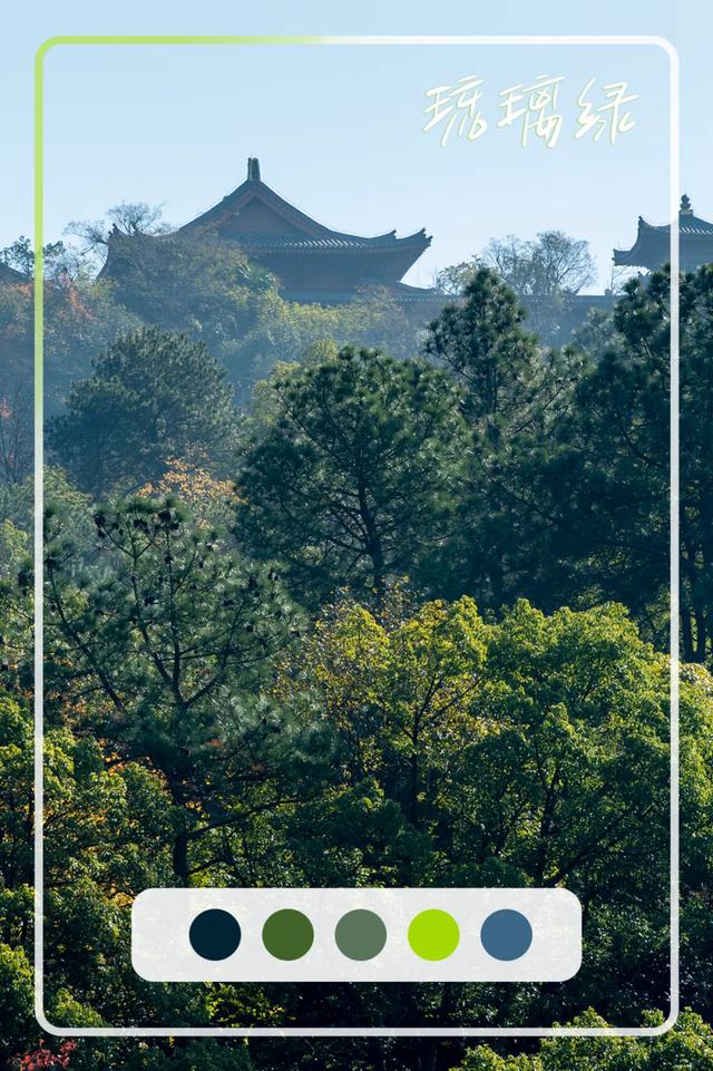 @0731，一组绿心秋色卡，请查收！