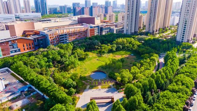 城市建在绿意盎然的花园里