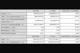 世纪华通：2023年上半年净利润8.68亿元 同比增长78.81%图片